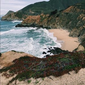 Meet your Posher, Ava